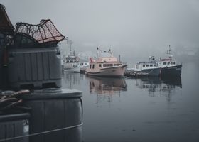 The Harbor Series: Twelve Frames at Dawn